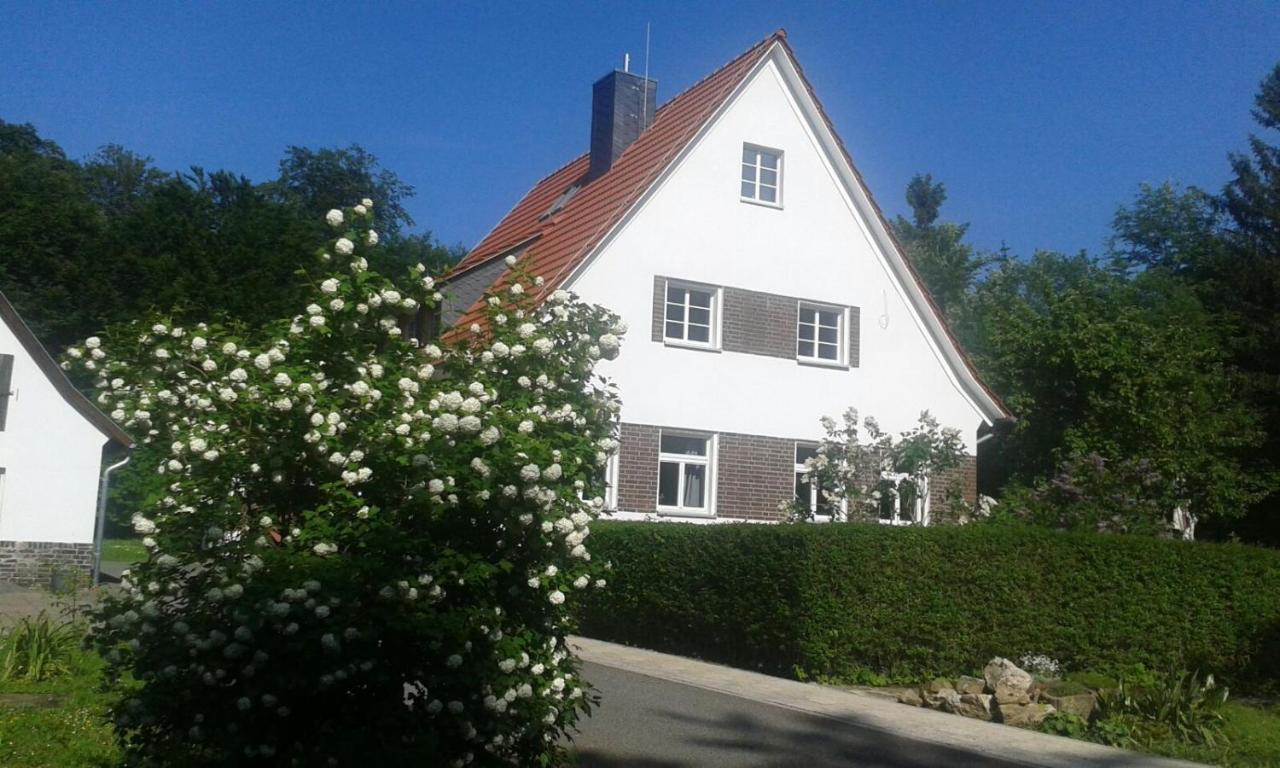 Forsthaus Wegenerskopf Apartment Тале Екстериор снимка